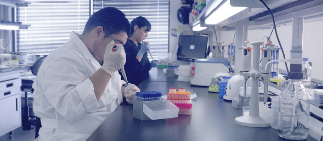 4 vanliga myter om DNA-testning