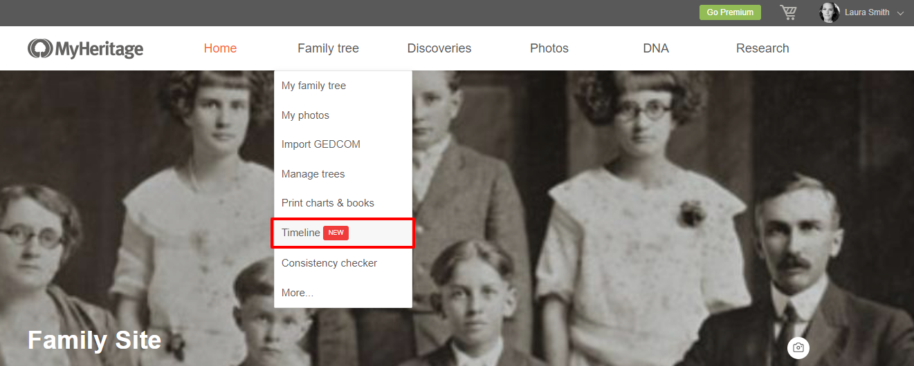Accessing Family Tree Timeline from the navigation bar